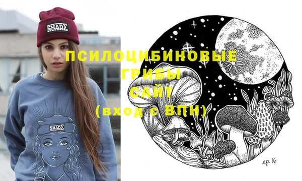 mix Богородицк