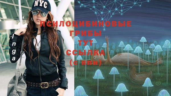 jwh Богданович