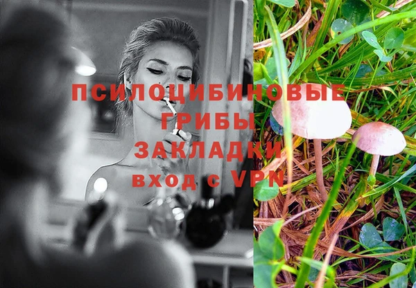 mix Богородицк