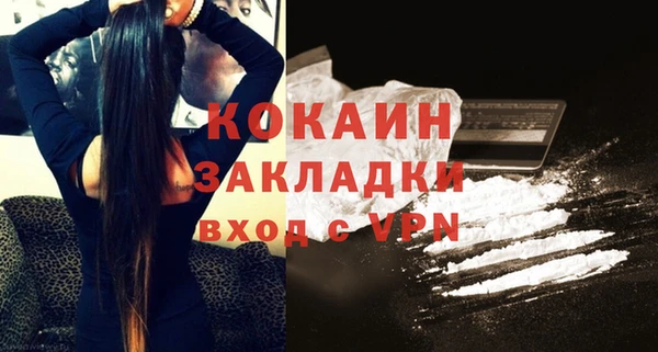 mix Богородицк