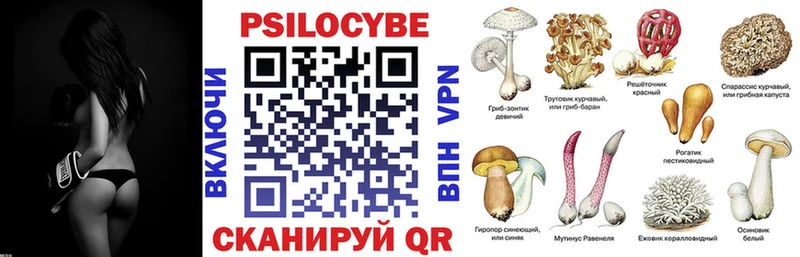 Галлюциногенные грибы Psilocybe  omg зеркало  Курск 